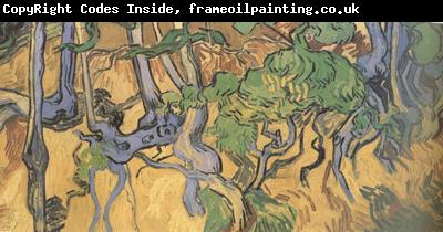 Vincent Van Gogh Tree Root and Trunks (nn04)